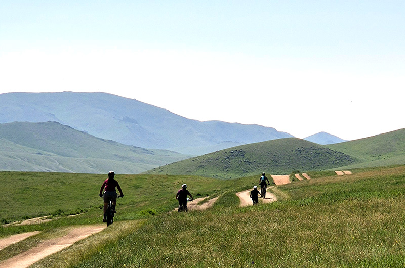 Cycling in Khustai NP